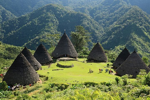 info tour komodo