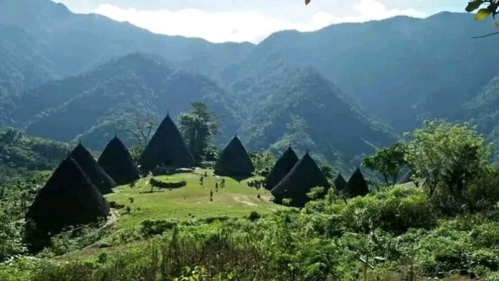 Accommodation in Flores 4 WhatsApp Image 2024 04 25 at 18.56.00 6eebdd71