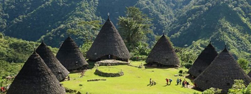 info tour komodo